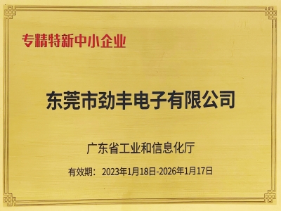 廣東省專(zhuān)精特新中小企業(yè)